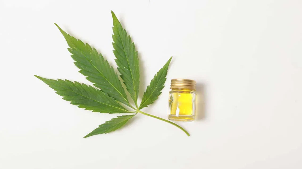 Most Popular Uses Of CBD Oil