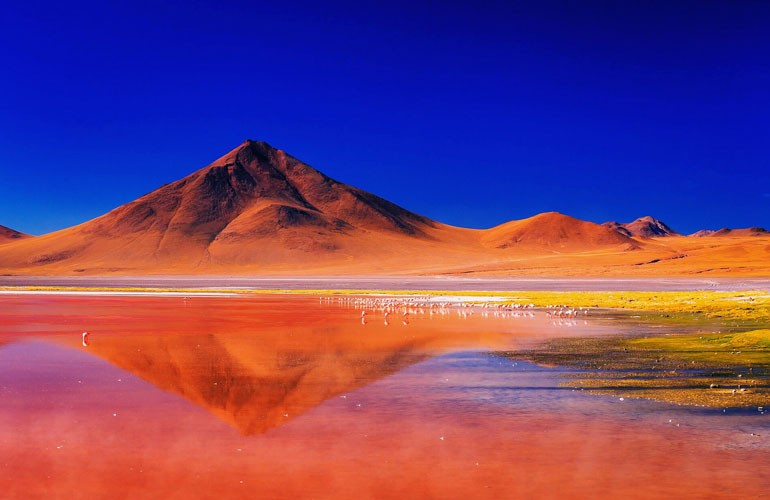 Laguna Colorada