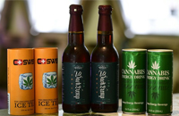 CBD Infused Drinks