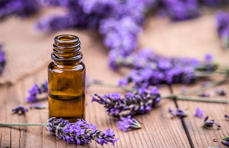 Lavender Oil