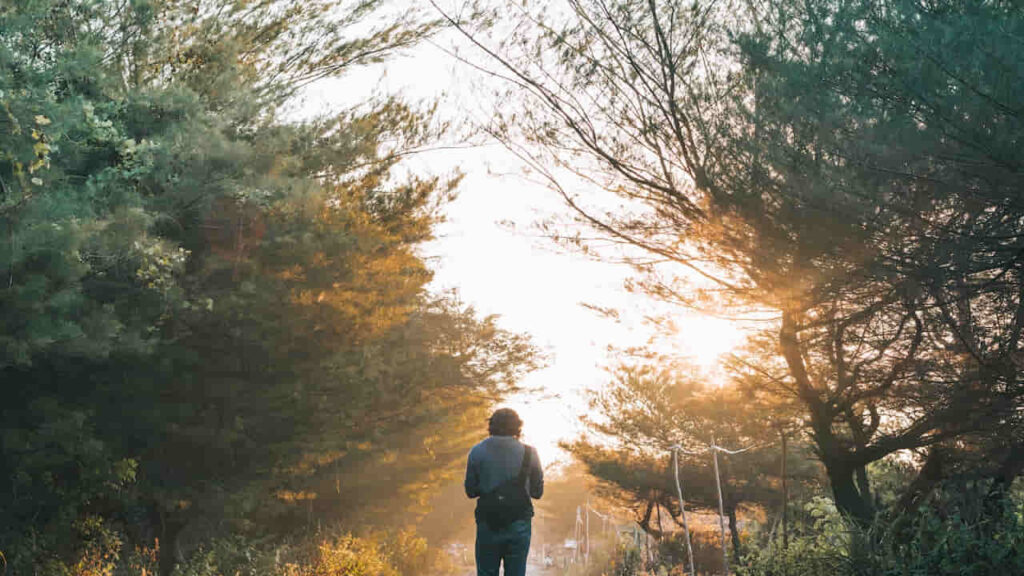 Man Walking on the Gray Asphalt Road